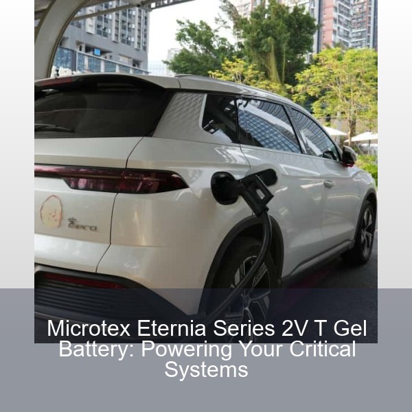 Microtex Eternia Series 2V T Gel Battery: Powering Your Critical Systems